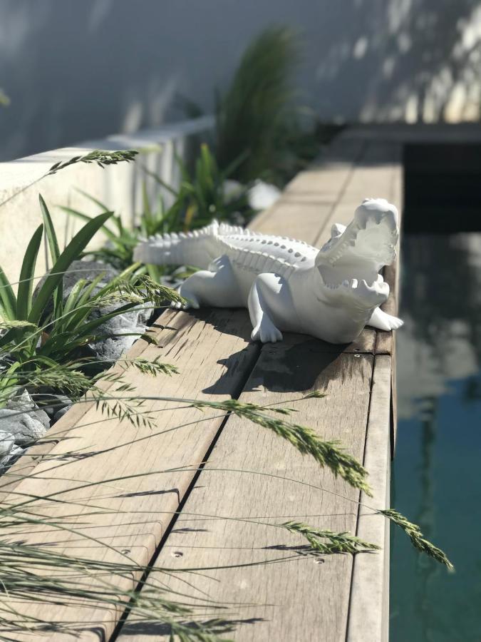 Bed and Breakfast L'Oasis Vendargues Esterno foto