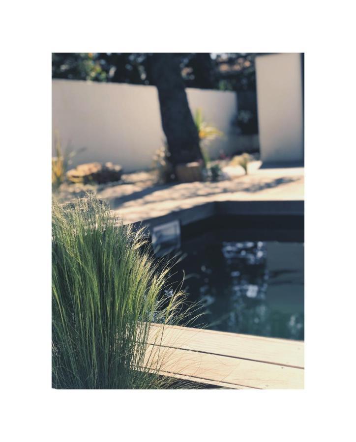 Bed and Breakfast L'Oasis Vendargues Esterno foto