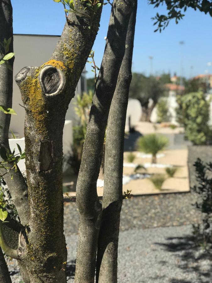 Bed and Breakfast L'Oasis Vendargues Esterno foto
